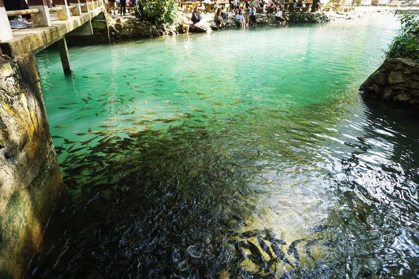Day Trip Vientiane - VangVieng by Express Train - A short cruise on the Nam Song River