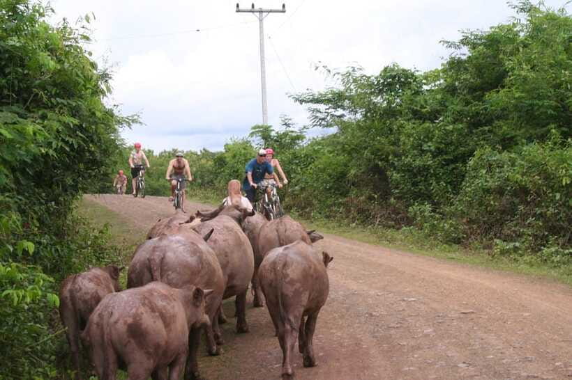 From Luang Prabang: Guided Mountain Bike Tour with Lunch - How hard is the ride?