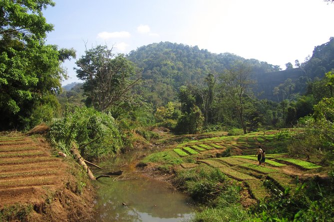 Full Day Crossing the Bolaven Plateau - What the private format is worth at $125.57