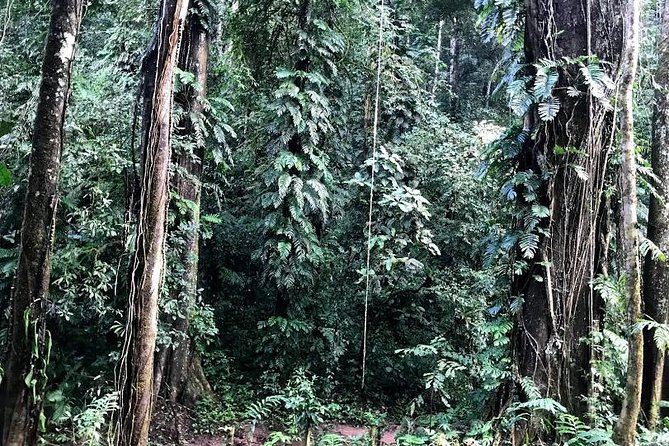 Hunter Trails, 3 days difficult trekking with Camping & Homestay - What this three-day Laos trek is really about
