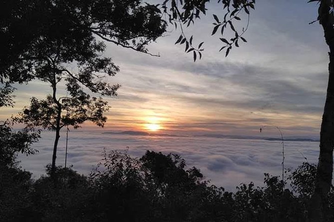 Hunter Trails, 3 days difficult trekking with Camping & Homestay - Day 2: Forest skills, wild tea, and hilltop views
