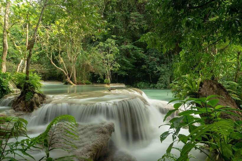 Kuang Si Waterfall, Tree Top Cafe, Ziplining - Why this Kuang Si day works so well
