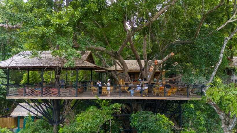 Kuang Si Waterfall, Tree Top Cafe, Ziplining - Five ziplines above the falls