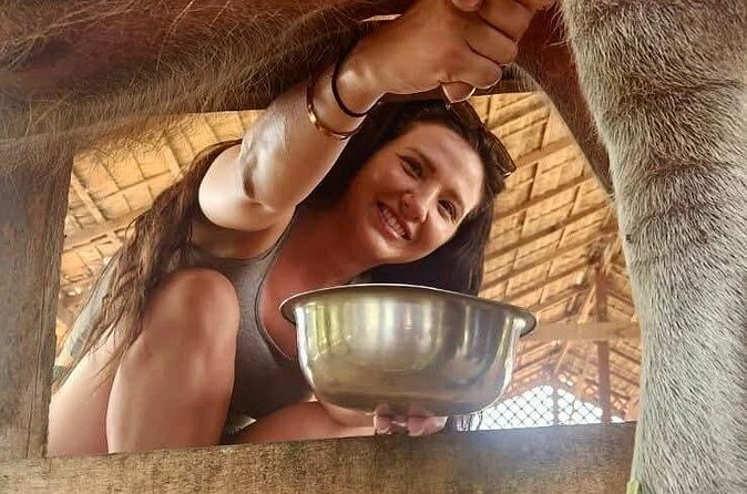 Laos Buffalo Dairy Tours Interact, Learn and Taste Fresh Flavors - Homemade ice cream and cake at the café