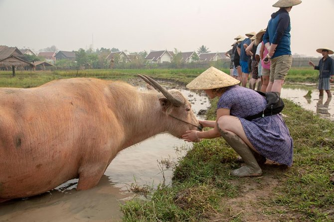 Living Land Rice Farming Experience - From bamboo weaving to sugar cane pressing