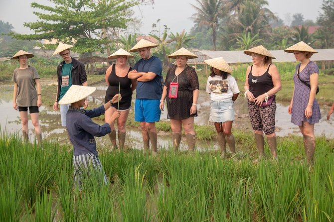 Living Land Rice Farming Experience - Be cautious with waterfalls and caves after the farm