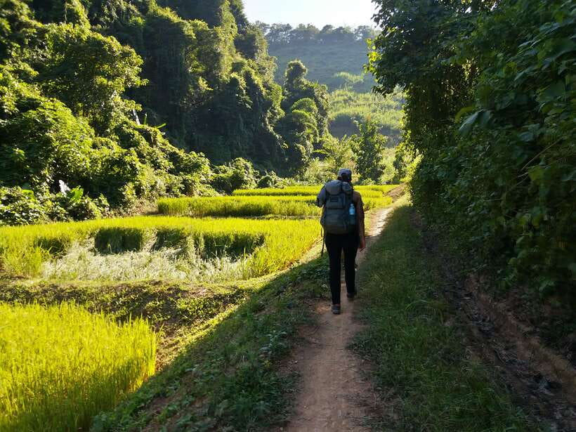 Luang Prabang: 3-Day Cultural Remote Trek With Homestay - Why this three-day trek feels different from a Luang Prabang day trip