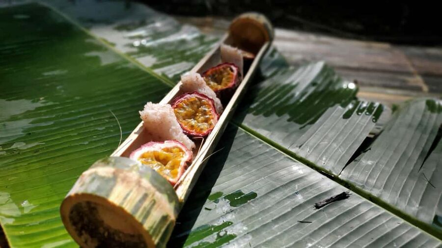 Luang Prabang: Bamboo Forest Cooking-class & Farm Visit - Cooking rice, meat, and fish over the forest fire