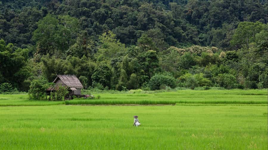 Luang Prabang: Countryside Mountain Bike Tour with Lunch - Key points at a glance