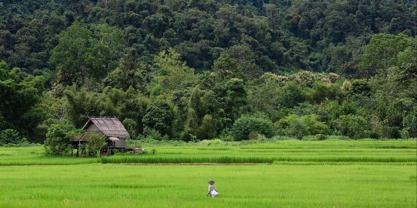 Luang Prabang: Countryside Mountain Bike Tour with Lunch - Lunch beside the river