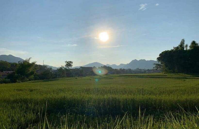 Luang Prabang: Evening Cooking Class & Local Baci Ceremony - Cooking in an open pavilion above the rice fields