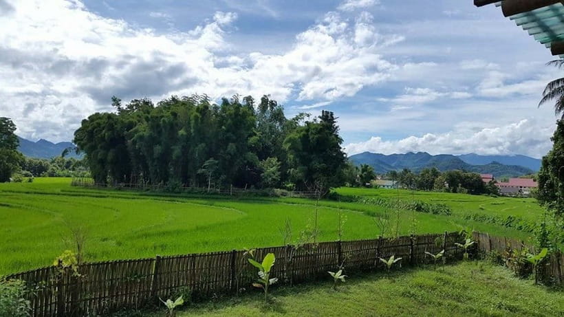Luang Prabang: Evening Cooking Class & Local Baci Ceremony - What the $51 price really buys