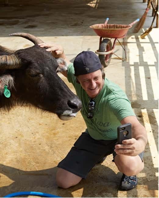 Luang Prabang: Farm Tour and Buffalo Buffet Adventure - Meeting Luang Prabang’s gentle giants