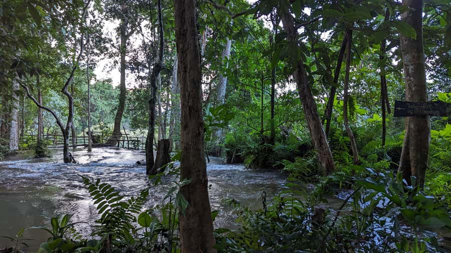 Luang Prabang: Full Day Trek to Kuang Si Waterfall & Village - Key points to know before booking