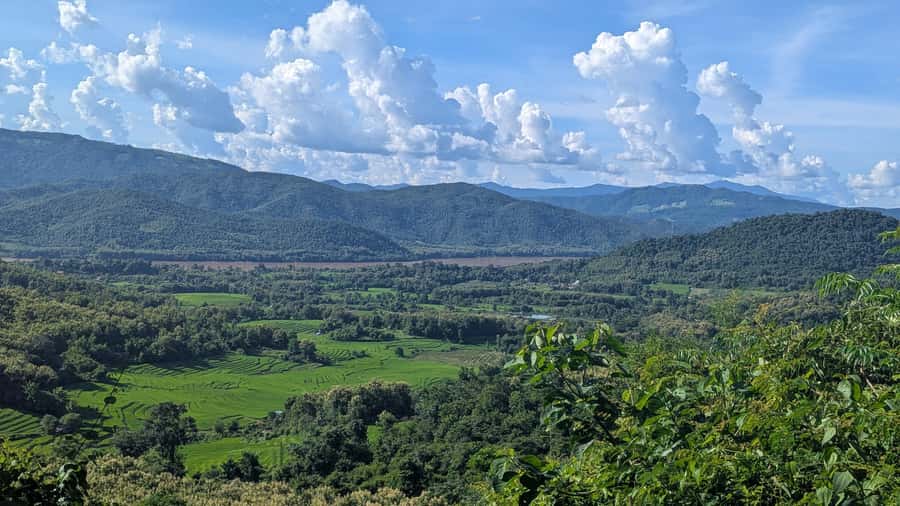 Luang Prabang: Full Day Trek to Kuang Si Waterfall & Village - Lunch, transport, and the practical value of $63