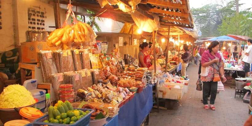 Luang Prabang: Local Village & Kuang Si Falls Private Tour - What $119 includes, and what it does not
