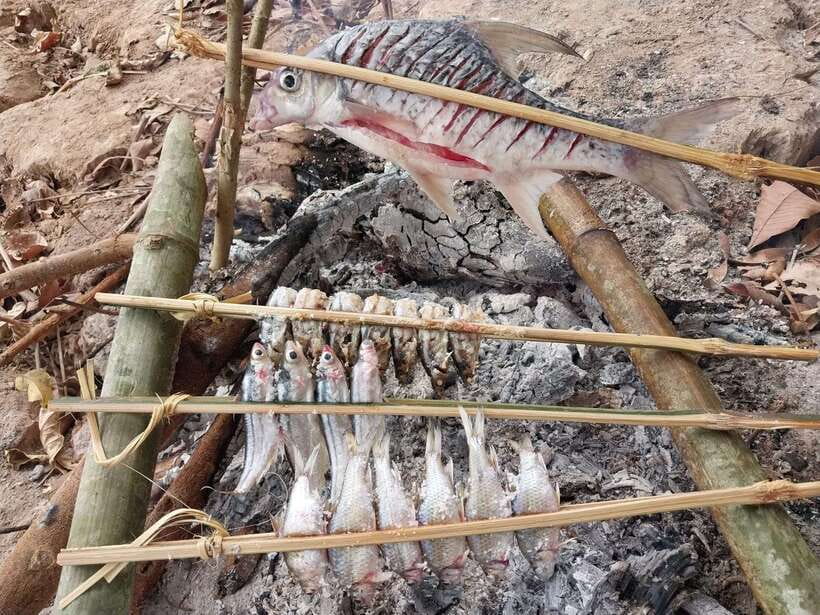 Luang Prabang: Mekong Fishing with a Local Fisherman & Lunch - Key points to know before you book