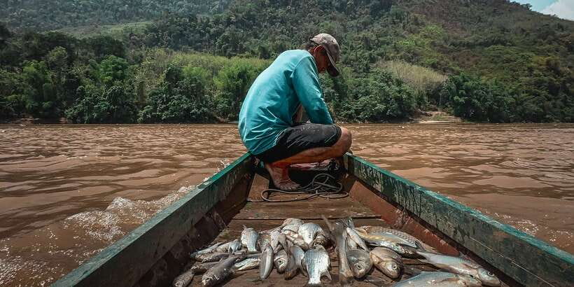 Luang Prabang: Mekong Fishing with a Local Fisherman & Lunch - Grilling lunch beside the river