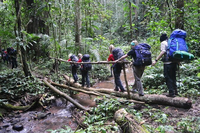 Nalan Trail and Khmu Tribe: 2 Days Trek in Nam Ha NPA - From Luang Namtha to the Nam Ha forest