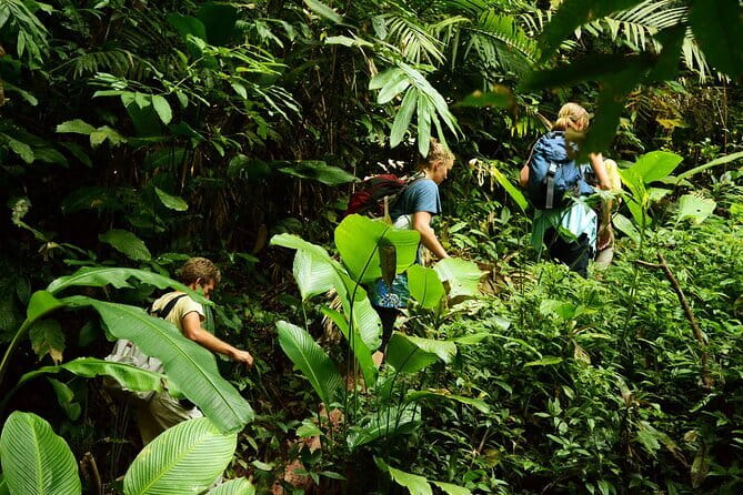 Nalan Trail and Khmu Tribe: 2 Days Trek in Nam Ha NPA - What the $109 price includes