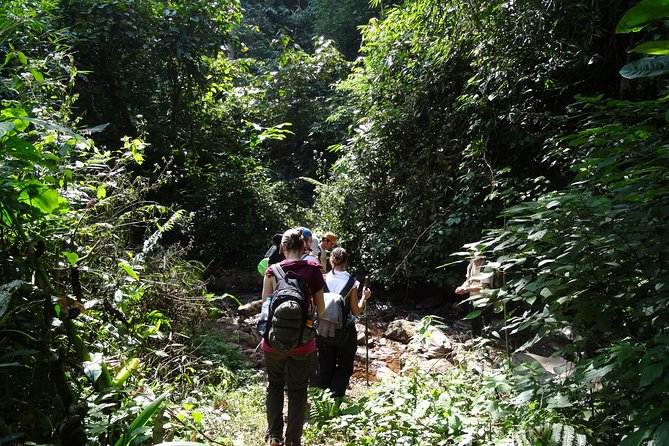 Nalan Trail Kmu Ethnic Experience - 2days forest trek with homestay. - Small group size and the guide experience