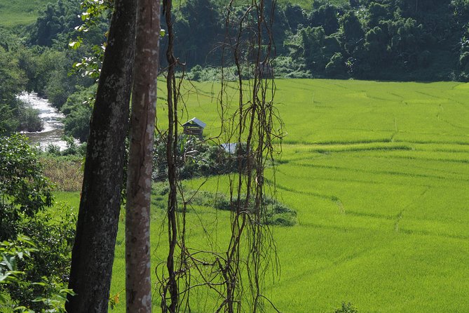 Nalan Trail Kmu Ethnic Experience - 2days forest trek with homestay. - Choosing between a homestay and the riverbank