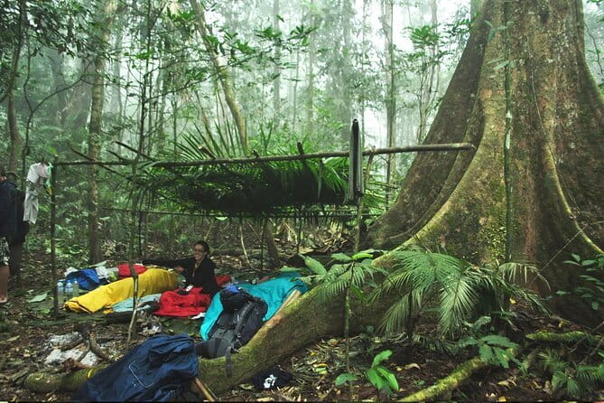 Nam Ha NPA 3 Day Wildlife Jungle Camp and Village Homestay Trek - Key points to know before you go