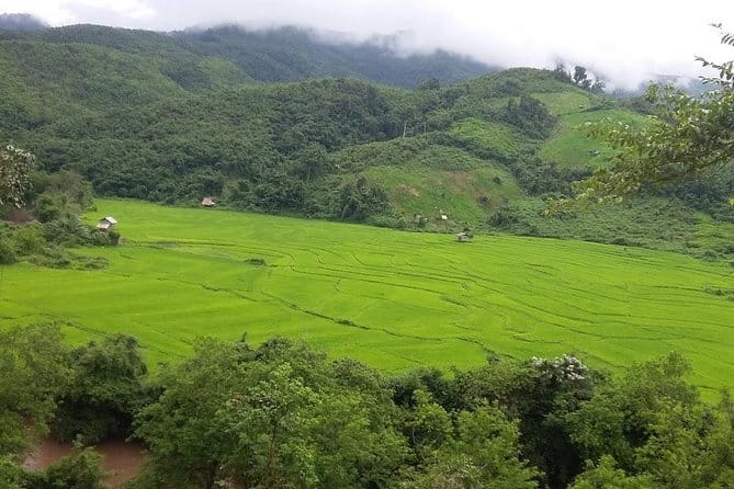 Nam Ha NPA 3 Day Wildlife Jungle Camp and Village Homestay Trek - Who will enjoy this, and who should skip it