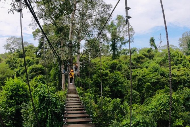 One Day Guided Tour: Kayaking, Zipline & Tubing In The Cave from Vang Vieng - The forest zipline section
