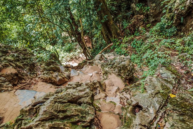 One Day Guided Tour: Kayaking, Zipline & Tubing In The Cave from Vang Vieng - Kayaking the Nam Song for two hours