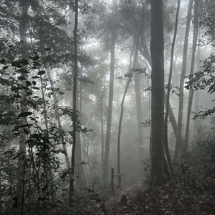 Overnight Camping At nong khiaw view point, 360 view - Small details that can shape the night