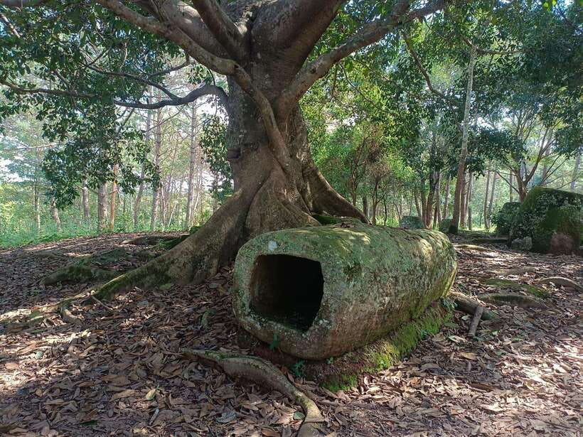 Plain of jars private tour - Site 3: walking across rice fields to the jars