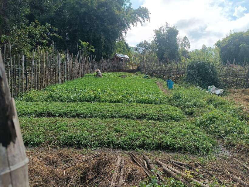 Plain of jars share group tour - Site 2 at Ban Na Kho and the best views