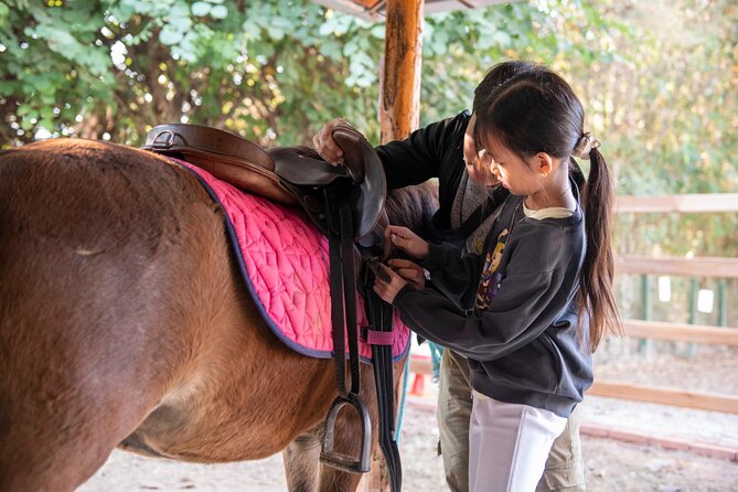 Pony Riding in Luang Prabang - Key points about the Namkhan horse ride