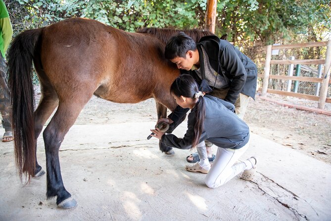 Pony Riding in Luang Prabang - Meeting the Hmong horses near Luang Prabang