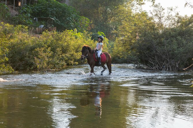 Pony Riding in Luang Prabang - Choosing between village, forest, river, and rice-field trails
