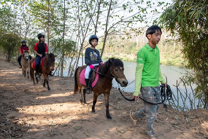 Pony Riding in Luang Prabang - The main strengths and limits