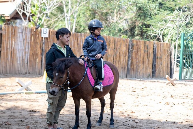 Pony Riding in Luang Prabang - From grooming to the riding arena