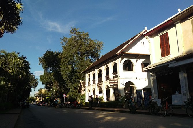 Private Luang Prabang City Tour - Luang Prabang morning market, one hour well spent
