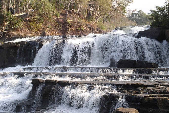 Private Tour Full-day Morning Market, Villages and Scenic Kuang Si Waterfall - The bear sanctuary adds more than a photo stop