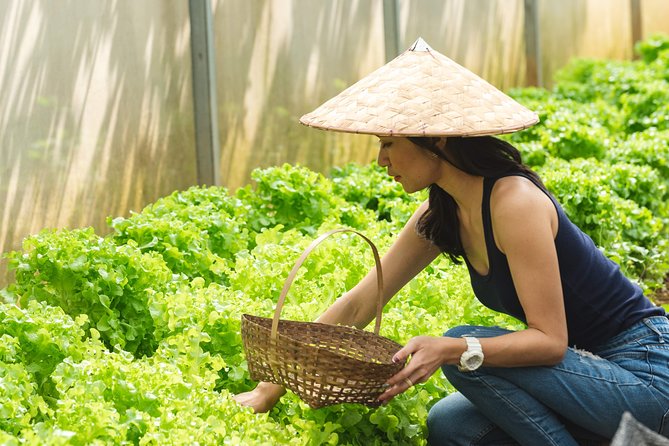 The Namkhan - Cooking Class - Picking seasonal vegetables before cooking