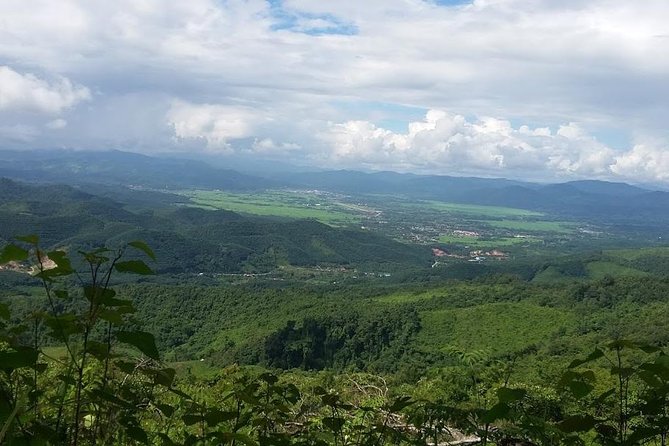 The Ultimate Hiker’s Choice - 5 days forest trek with homestay and camping - Five days on foot in northern Laos