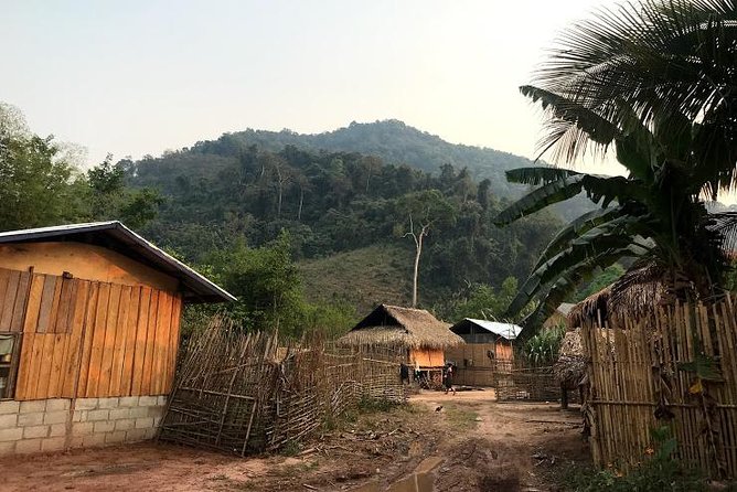 The Ultimate Hiker’s Choice - 5 days forest trek with homestay and camping - Day three: salt licks and a gentler forest walk