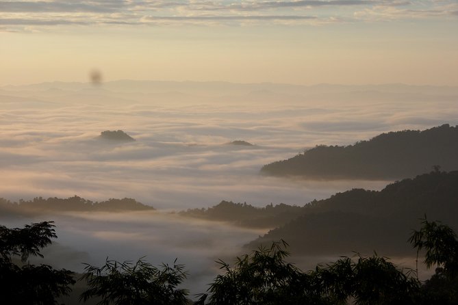 The Wild Explorer - 3 days forest trek with homestay and camping - What the Wild Explorer really involves