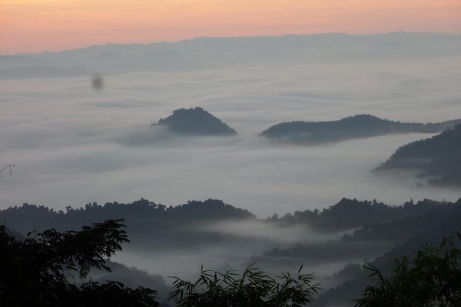 The Wild Explorer - 3 days forest trek with homestay and camping - Day three: a final forest morning and return