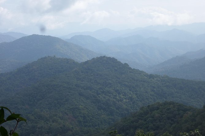 The Wild Explorer - 3 days forest trek with homestay and camping - The guides can shape the whole experience