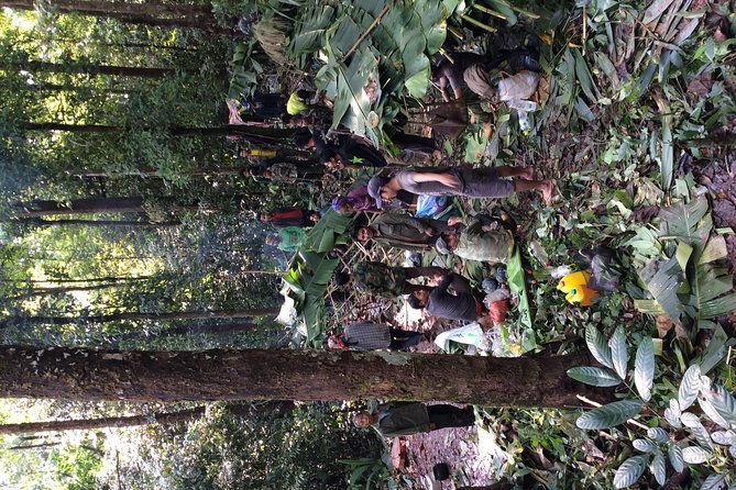 The Wild Explorer - 3 days forest trek with homestay and camping - Day two: forest skills, cooking, and the high campsite