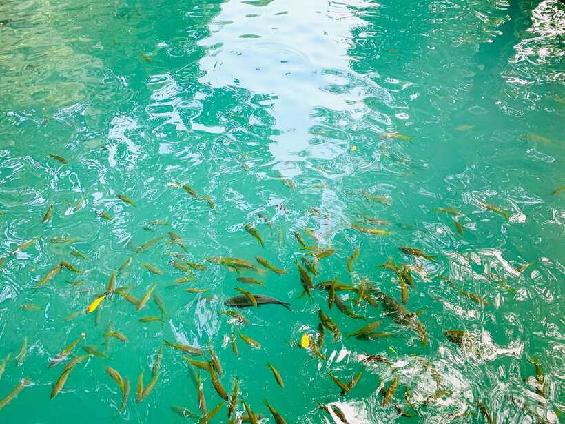 Vang Vieng: Blue Lagoon and Countryside Bike Tour with Lunch - What is included for $38?