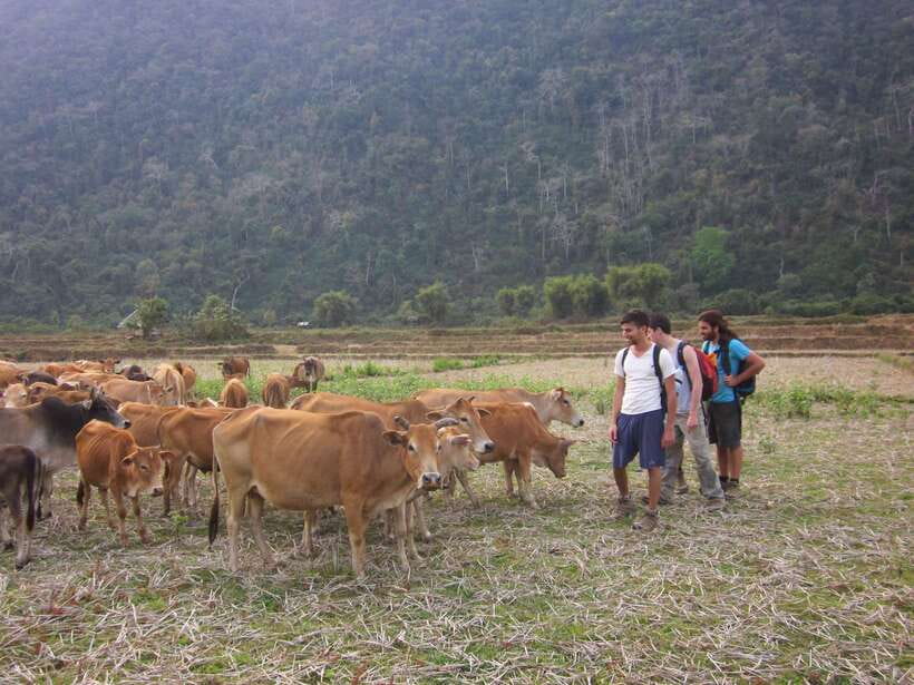 Vang Vieng: Jungle & Caves Full-Day Private Trekking Tour - Key points to know before booking