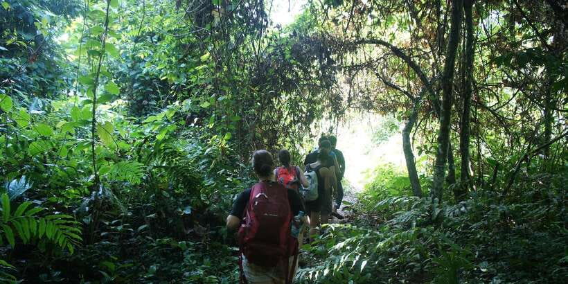 Vang Vieng: Jungle & Caves Full-Day Private Trekking Tour - What $120 per person buys you